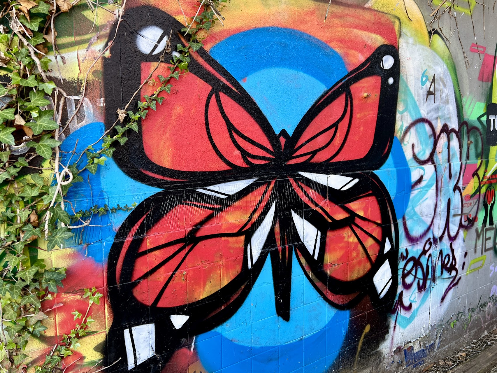 Street art and murals at Darwin